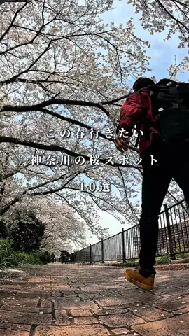 しょうご | 物語を紡ぐお散歩クリエーターのTikTok投稿