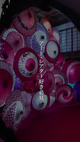 鑑賞と思索のTikTok投稿
