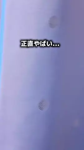 mitan_dstyleのTikTok投稿
