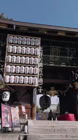 鑑賞と思索のTikTok投稿