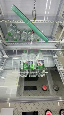 しゃけのTikTok投稿