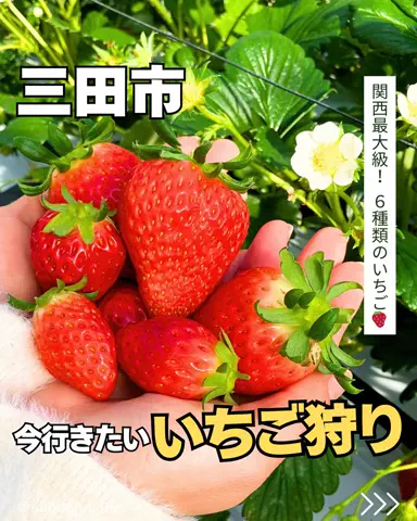 サンダフルグルメのTikTok投稿