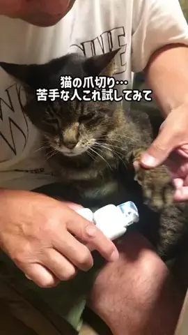 まゆち💊👽紹介マンのTikTok投稿