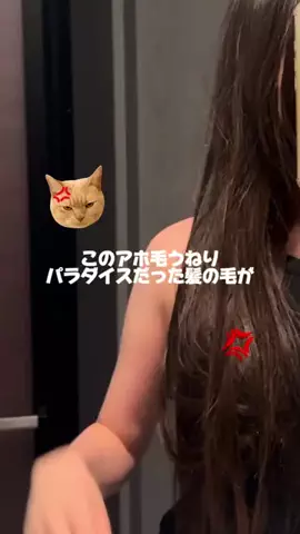 TAROのTikTok投稿