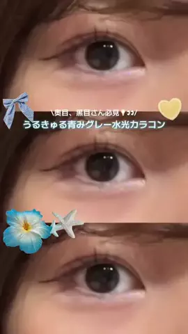 🌱のTikTok投稿