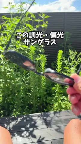 しんしんの正直レビューのTikTok投稿