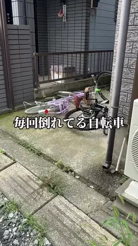 しんしんの正直レビューのTikTok投稿