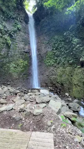 じょせやさ！鹿児島カフェグルメのTikTok投稿