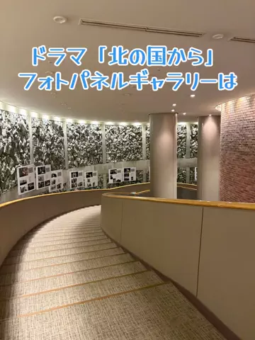 ミュージアムくまさんのTikTok投稿