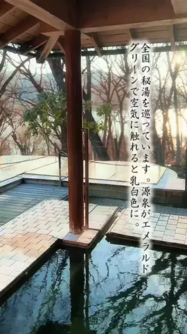 Fuki Fu-campのTikTok投稿