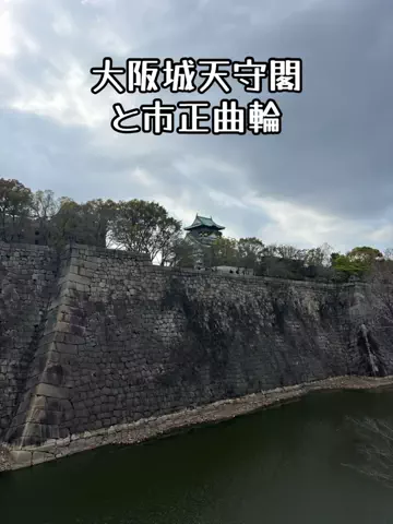 ミュージアムくまさんのTikTok投稿