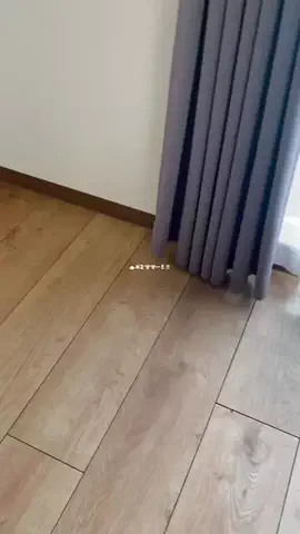 チョコミントのTikTok投稿