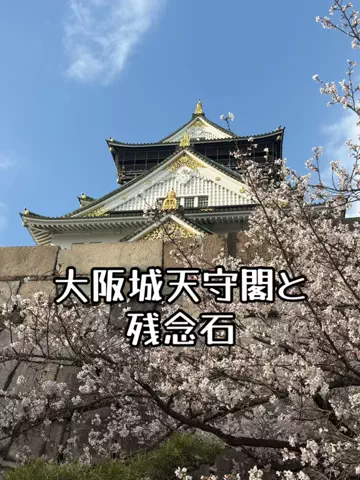 ミュージアムくまさんのTikTok投稿