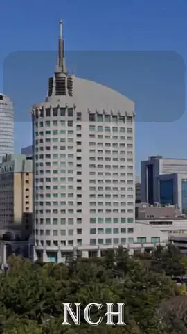 No Copyright Hits - NCHのTikTok投稿