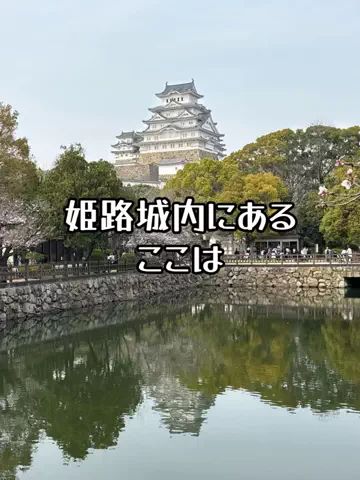 ミュージアムくまさんのTikTok投稿