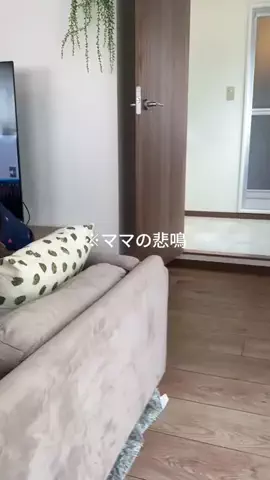 チョコミントのTikTok投稿