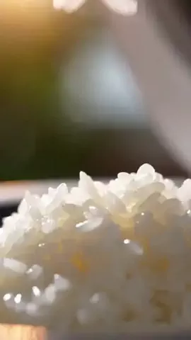 暮らしの音のTikTok投稿