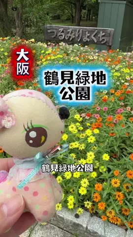 みやも人形のTikTok投稿