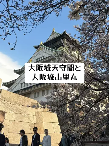 ミュージアムくまさんのTikTok投稿