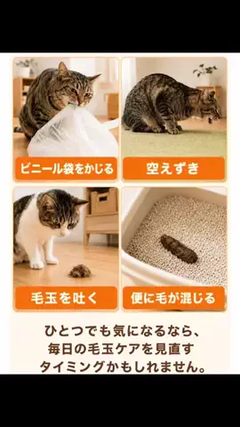 グリのTikTok投稿