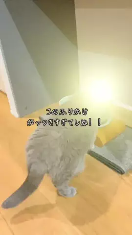 グリのTikTok投稿
