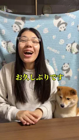 コッペパン　はな🐕🥖のTikTok投稿