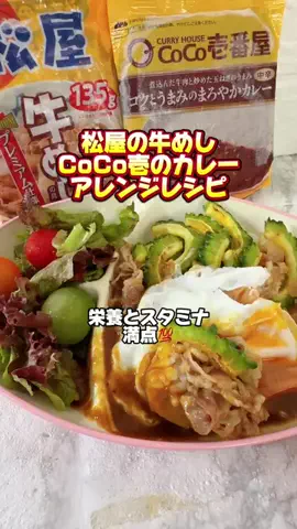 みやも人形のTikTok投稿