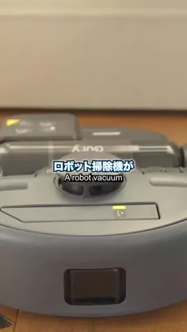 さてんさんのTikTok投稿