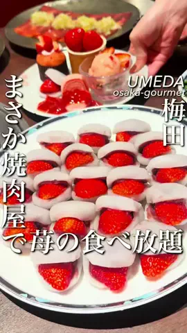 大阪グルメ【関西グルメ】のTikTok投稿