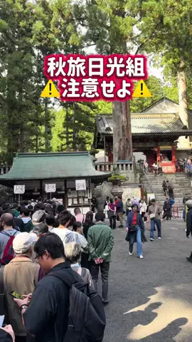 37歳おっさん旅垢のTikTok投稿