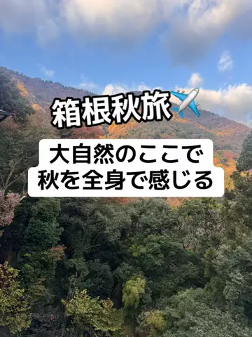 37歳おっさん旅垢のTikTok投稿