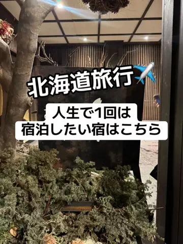 37歳おっさん旅垢のTikTok投稿