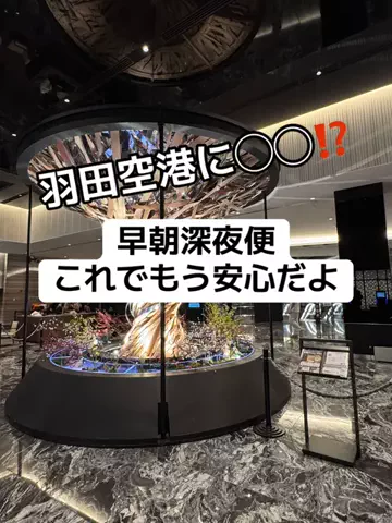37歳おっさん旅垢のTikTok投稿