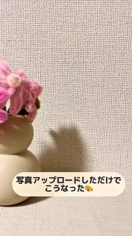 ゆーま｜iPhone苦手を「デキる」に変える専門家のTikTok投稿