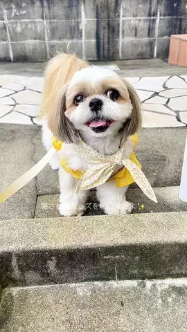 Nana-chanのTikTok投稿