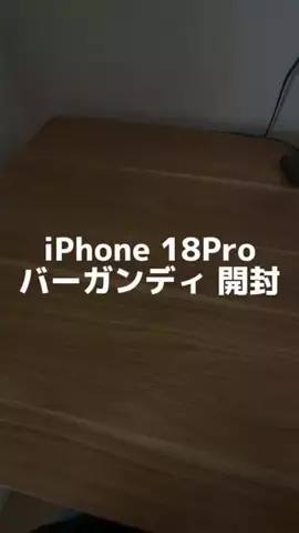 ぷろぷろ/1日1分iPhoneガジェット紹介のTikTok投稿