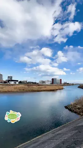 仙台つーしんエンタメ部のTikTok投稿