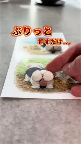 COCO | 暮らしを彩るアイデア🌿のTikTok投稿