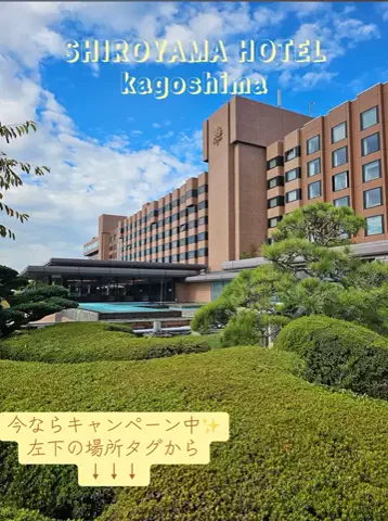 ゆるりと。のTikTok投稿