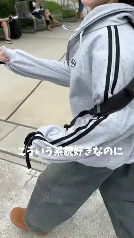 1095のTikTok投稿