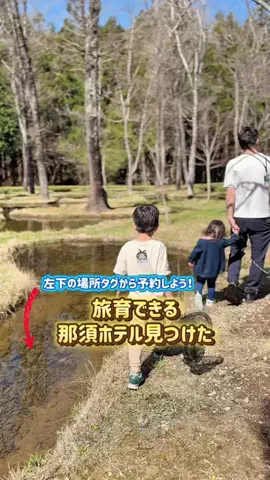 あやか＊お出かけ＆旅行好きな東京ママのTikTok投稿