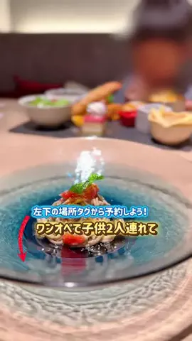 あやか＊お出かけ＆旅行好きな東京ママのTikTok投稿