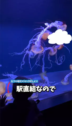 あやか＊お出かけ＆旅行好きな東京ママのTikTok投稿