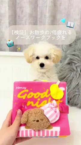 ぱうわう🦭♡のTikTok投稿