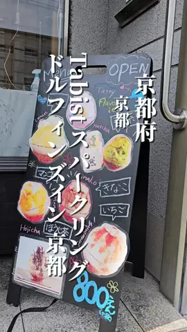 ゆり婆ちゃんの旅日記のTikTok投稿