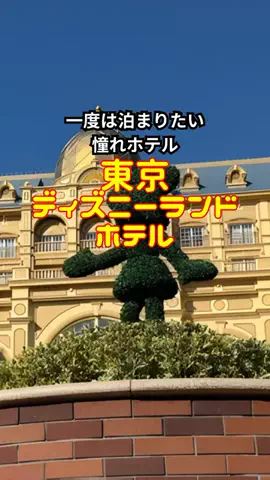 おっきー 🍍沖縄人のTikTok投稿
