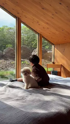 LUNA🌙のTikTok投稿