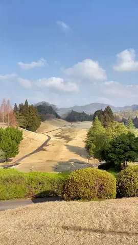 jinei_golfのTikTok投稿