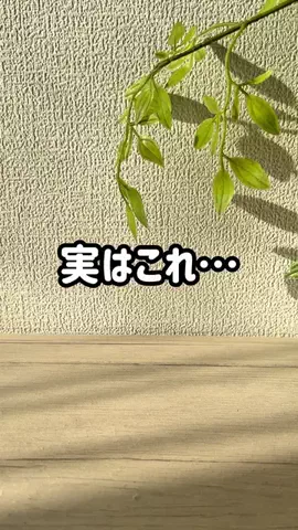 iPhone姉さん📱のTikTok投稿