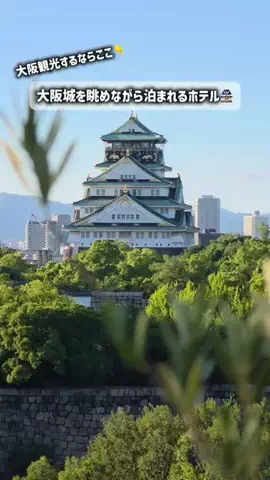 くつろぎらいふのTikTok投稿